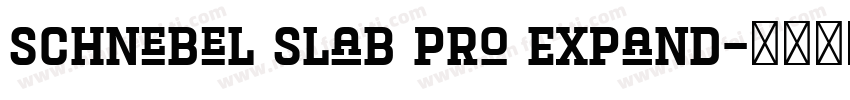 Schnebel Slab Pro Expand字体转换